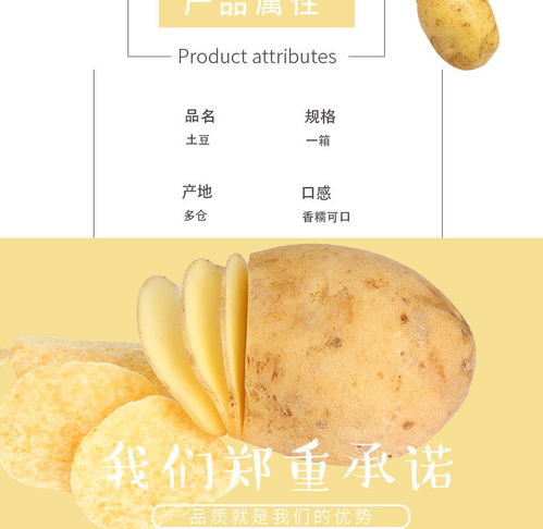 云南黃皮小土豆 現挖現賣的新鮮馬鈴薯，體驗泥土的芬芳